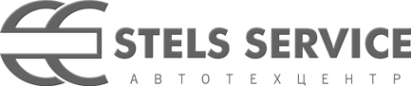 Логотип компании Stels service