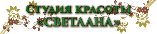 Логотип компании Светлана