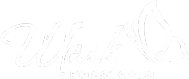 Логотип компании Шелк