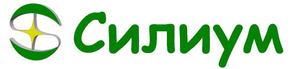 Логотип компании Силиум