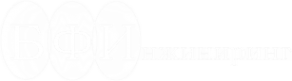 Логотип компании БФ Инжиниринг