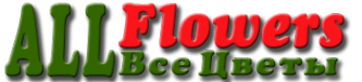Логотип компании Allflowers