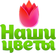 Логотип компании Наши цветы