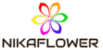 Логотип компании Цветы и гелиевые шары