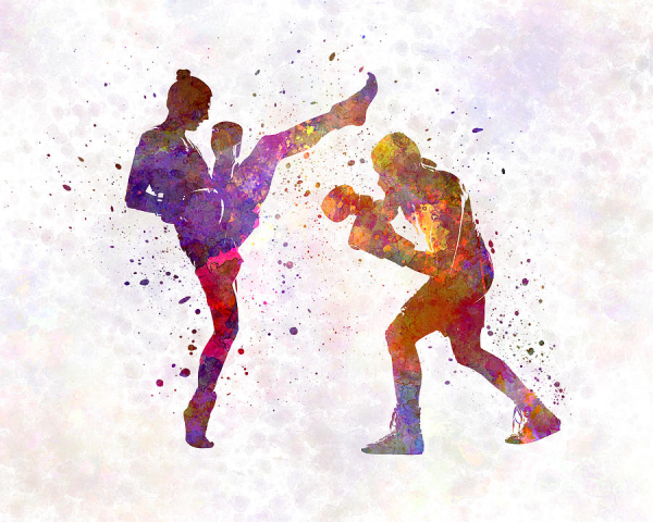 Логотип компании Секции боевых искусств «ОСОБИНКА»